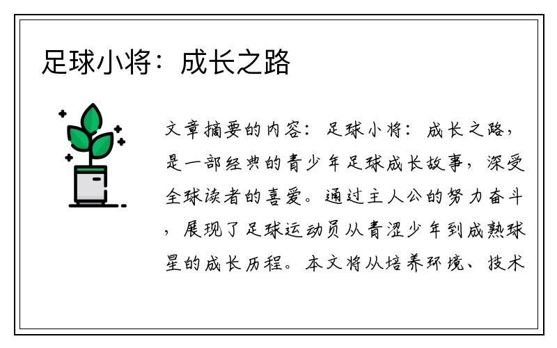 足球小将：成长之路